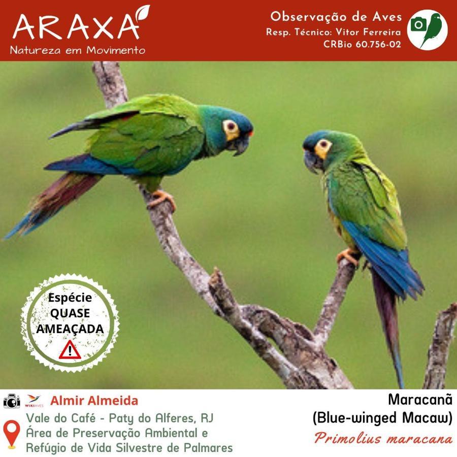 Sitio Araxa - 82 Anos De Historia - Suite Confortavel Em Meio A Floresta Paty do Alferes Bagian luar foto