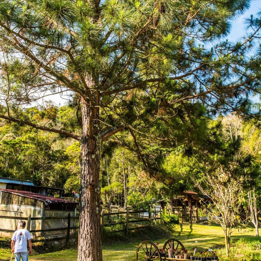 Sitio Araxa - 82 Anos De Historia - Suite Confortavel Em Meio A Floresta Paty do Alferes Bagian luar foto