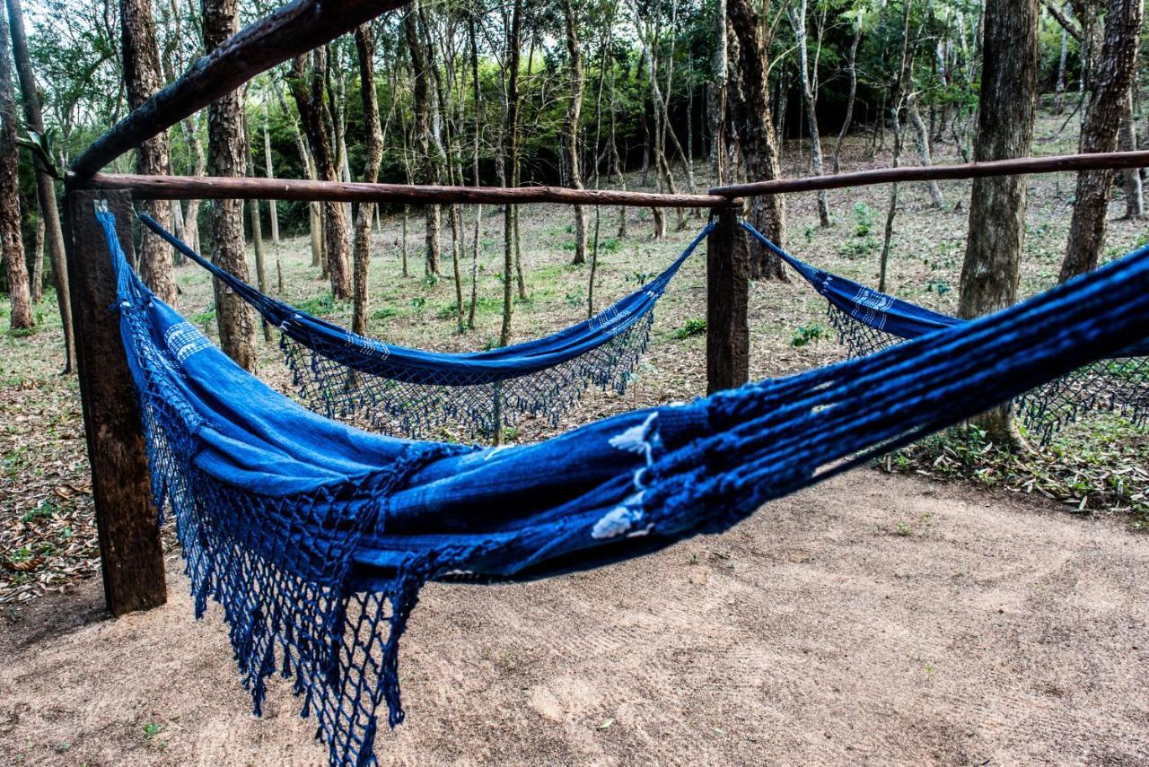Sitio Araxa - 82 Anos De Historia - Suite Confortavel Em Meio A Floresta Paty do Alferes Bagian luar foto