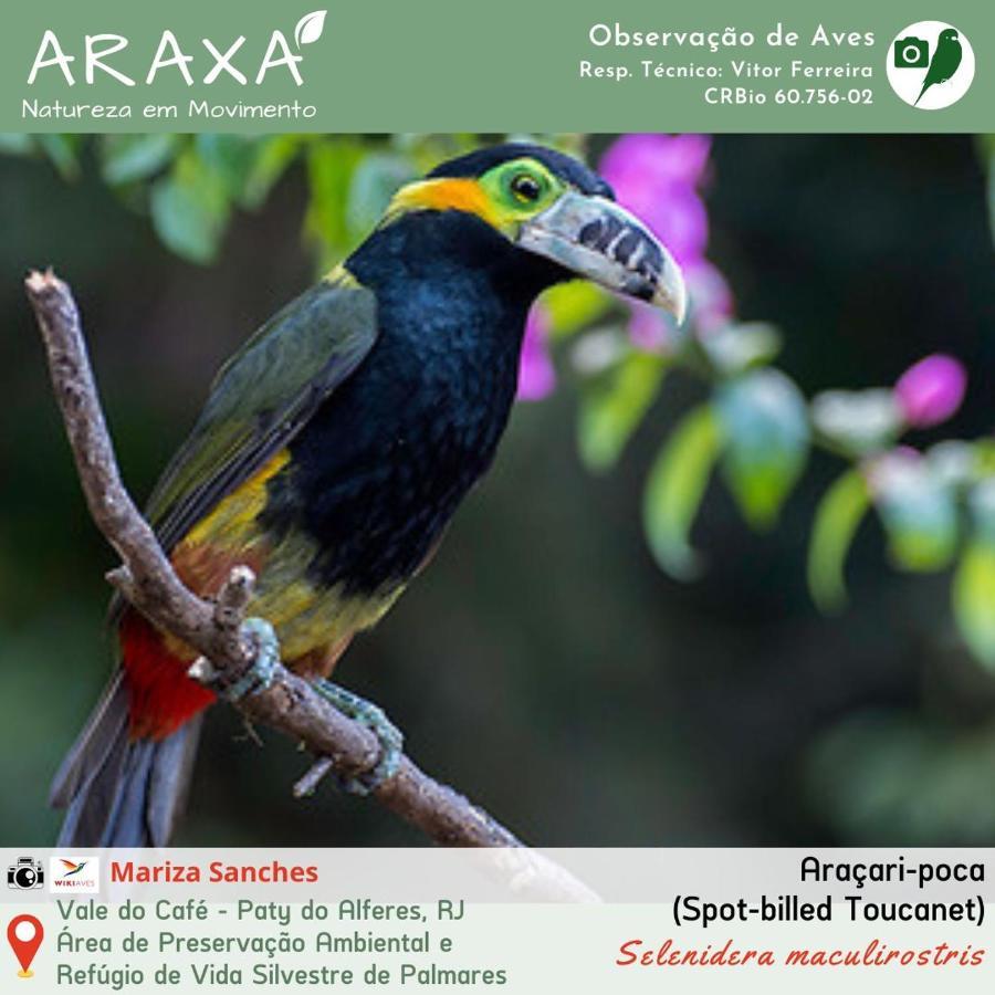 Sitio Araxa - 82 Anos De Historia - Suite Confortavel Em Meio A Floresta Paty do Alferes Bagian luar foto